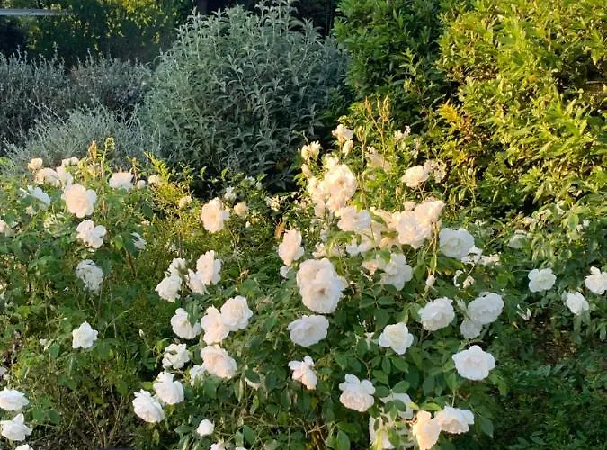 Podere Gradisca Alberese