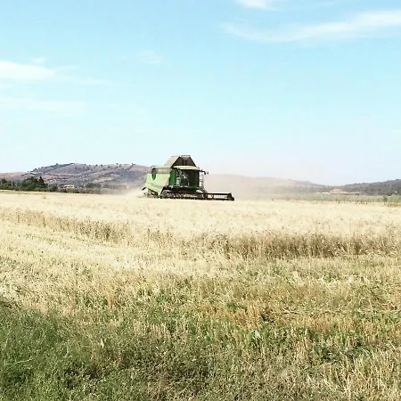 Feriegård Podere Gradisca