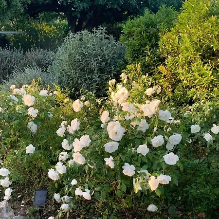 Podere Gradisca Alberese